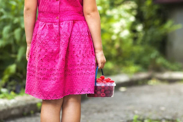 Маленькая девочка в платье рука ребенка держит маленькую корзину спелых рас — стоковое фото
