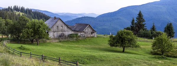 Village houses on hills with green meadows in summer day. House