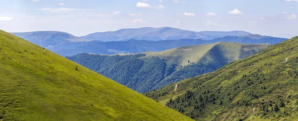 Panorama van de groene heuvels in zomer bergen — Stockfoto