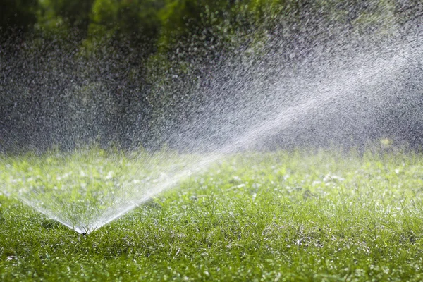 Rasensprenger, der an einem heißen Sommertag Wasser über das Gras im Garten sprüht. automatische Rasenbewässerung. Garten- und Umweltkonzept. — Stockfoto