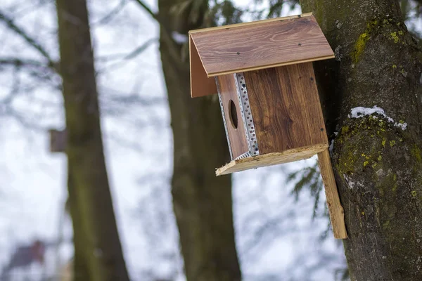 Ein Holzhaus für Vögel auf dem Baum im Wald. Futter- und Futterplatz für Vögel im Winter. Vogelfutterhäuschen im Park. — Stockfoto