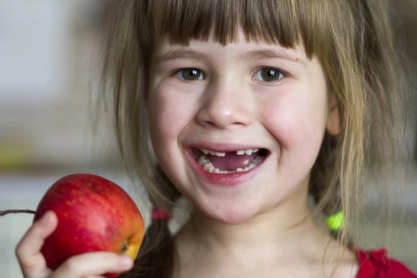 A cute little curly toothless girl smiles and holds a red apple. Portrait of a happy baby eating a red apple. The child loses milk teeth. Healthy food nutrition. Royalty Free Stock Photos