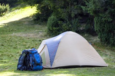 Karpat Dağları ormandaki taze ot ile yeşil çayır turist kamp. Yürüyüşçüler çadır ve sırt çantaları Kamp yerinde. Aktif yaşam tarzı, açık hava etkinliği, tatil, spor ve Rekreasyon kavramı.