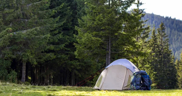 Turistcamp på grön äng med färskt gräs i Karpaterna skog. Vandrare tält och ryggsäckar på campingen. Aktiv livsstil, utomhusaktivitet, semester, sport och rekreation koncept. — Stockfoto