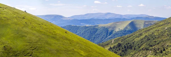 Panorama des collines verdoyantes dans les montagnes d'été — Photo