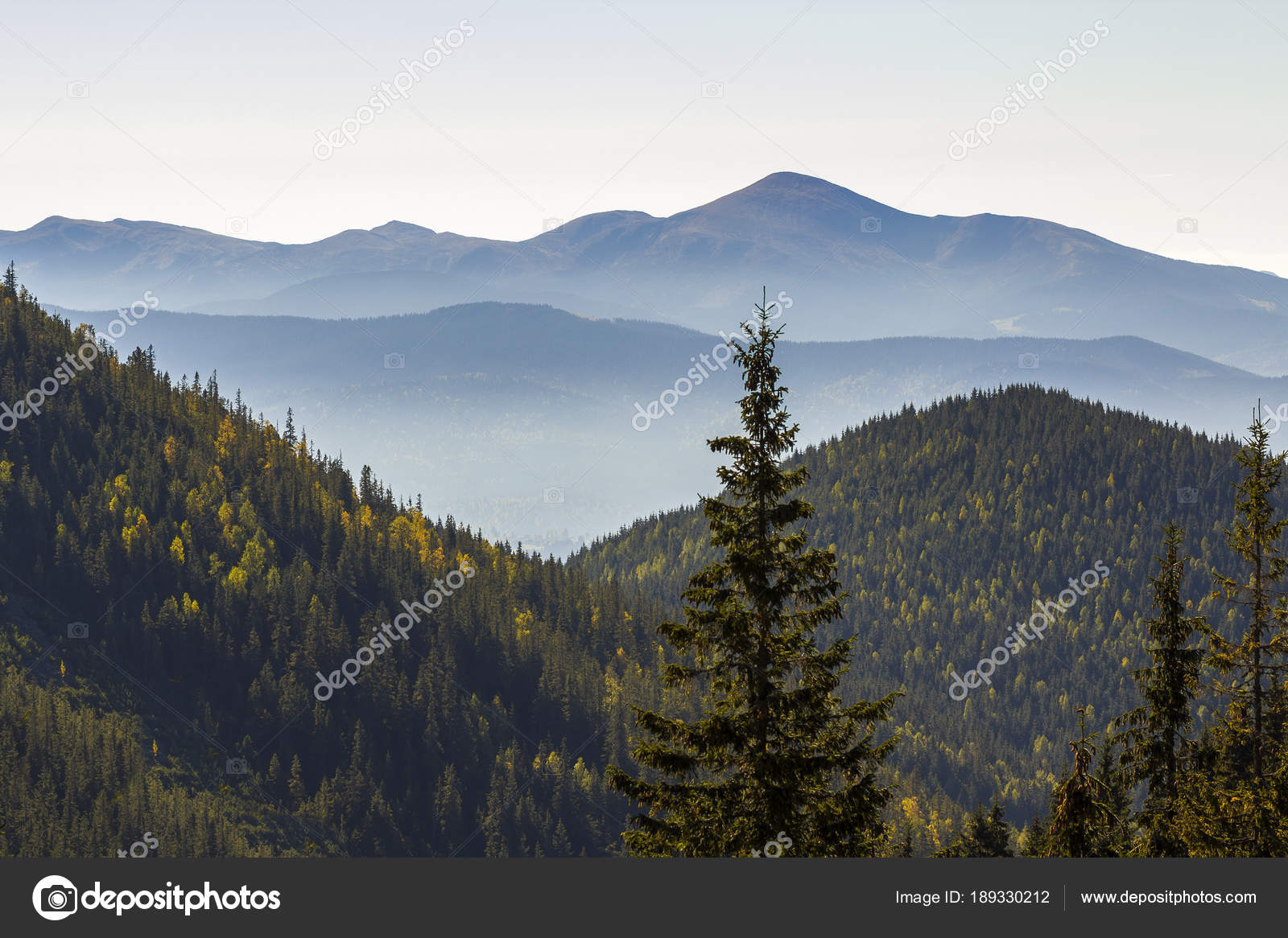 Landscape View Of Mountain Peak And Green Pine Trees Mountain