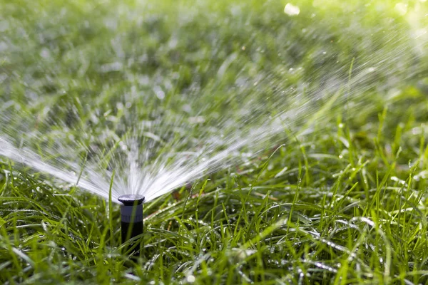 Lawn water sprinkler spraying water over grass in garden on a hot summer day. Automatic watering lawns. Gardening and environment concept. — Stock Photo, Image