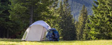Karpat Dağları ormandaki taze ot ile yeşil çayır turist kamp. Yürüyüşçüler çadır ve sırt çantaları Kamp yerinde. Aktif yaşam tarzı, açık hava etkinliği, tatil, spor ve Rekreasyon kavramı.