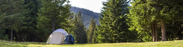 Tourist camp on green meadow with fresh grass in Carpathian mountains forest. Hikers tent and backpacks at camping site. Active lifestyle, outdoor activity, vacation, sports and recreation concept.