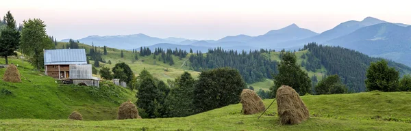Köy yeşil çayırlar ile tepelerde yaz günde ev sahipliği yapmaktadır. Ev — Stok fotoğraf