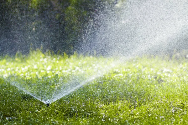 在炎热的夏日, 草坪洒水喷头在花园的草地上喷洒水。自动浇水草坪。园艺与环境概念. — 图库照片