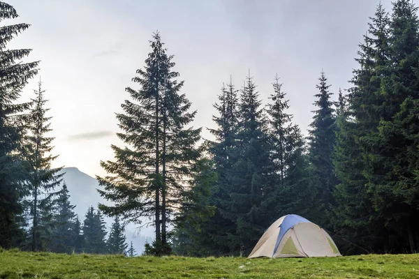 Weiß-blaues Touristenzelt auf grüner Wiese zwischen immergrünem Tannenwald mit wunderschönem Berg in der Ferne. Tourismus, Outdoor-Aktivitäten und gesunder Lebensstil. — Stockfoto