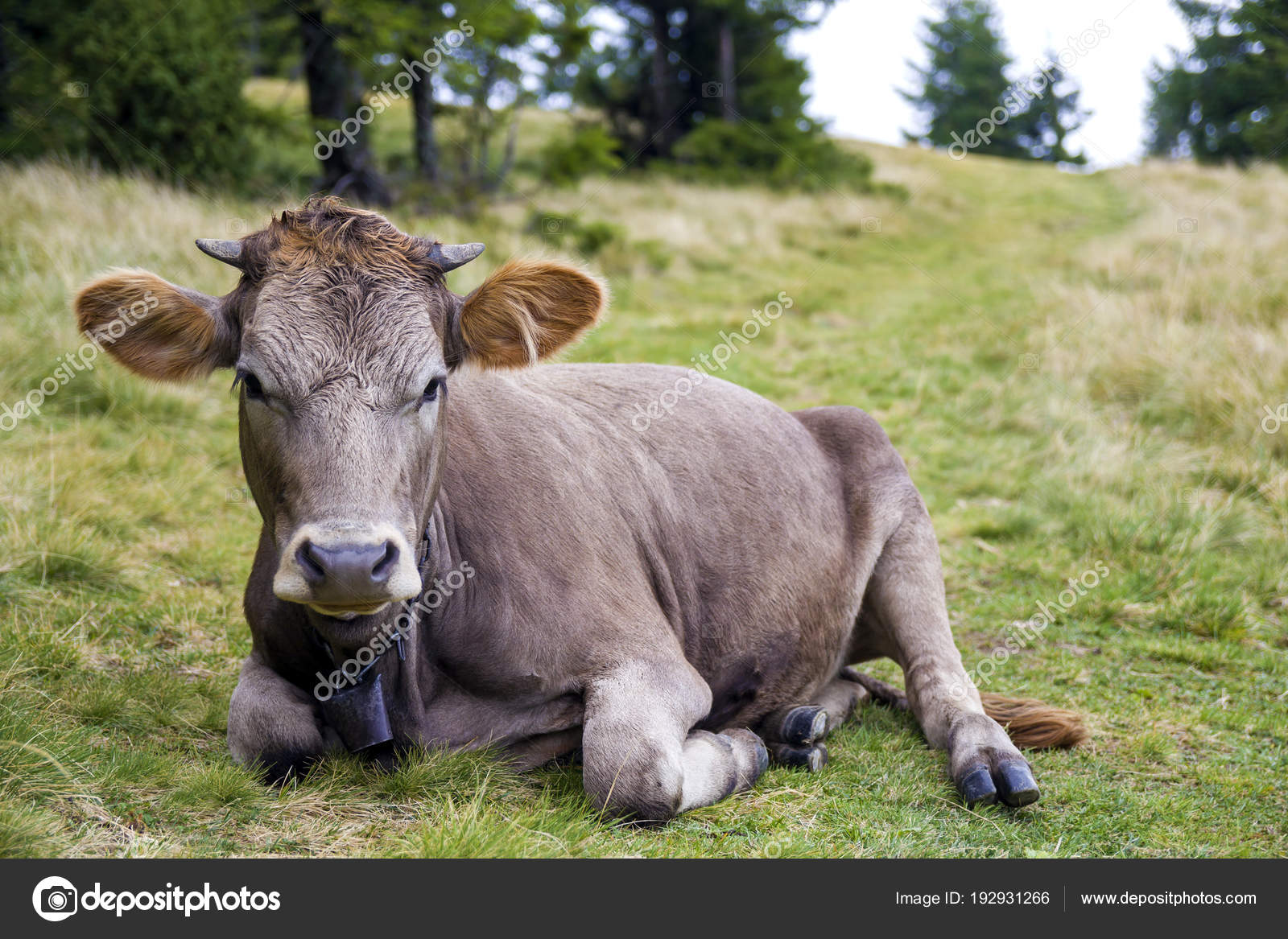 Lachhafte Bilder Lachhafte Bilder