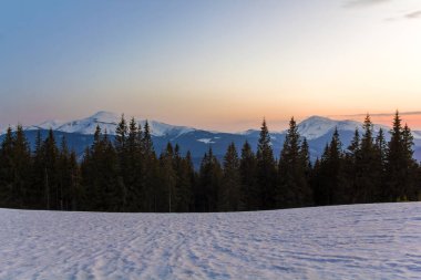 Gündoğumu veya günbatımı muhteşem manzaraya Karpat Dağları'nın. Temiz kar, şeffaf temiz hava, yoğun herdem yeşil orman ve yumuşak güneş kızdırma uzak karla kaplı dağ silsilesi içinde kaplı vadi.