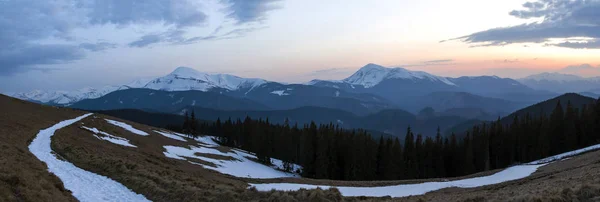 Panorama Piękny Wiosna Zachód Słońca Karpatach Dolina Sucha Trawa Śnieg — Zdjęcie stockowe