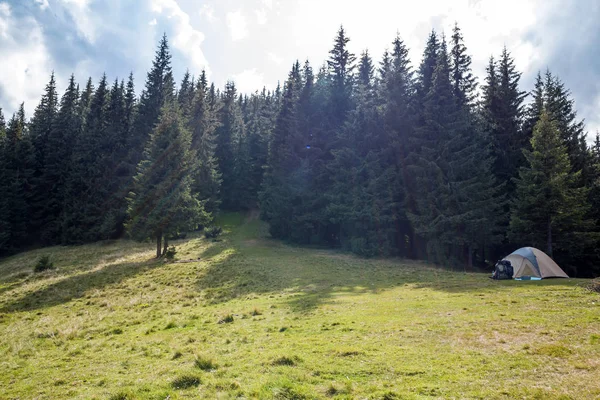 Krásný Klidný Pohled Queit Zelené Travnaté Zúčtování Turistický Stan Okraji — Stock fotografie