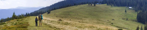 Vater und Sohn mit Rucksack wandern gemeinsam im Sommer — Stockfoto