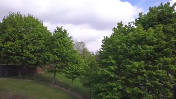 Árboles Verdes Verano Una Colina Cubierta Hierba — Vídeo de stock