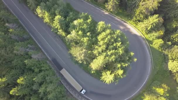 Vista Aérea Carretera Sinuosa Con Coches Siega Camiones Bosques Densos — Vídeo de stock