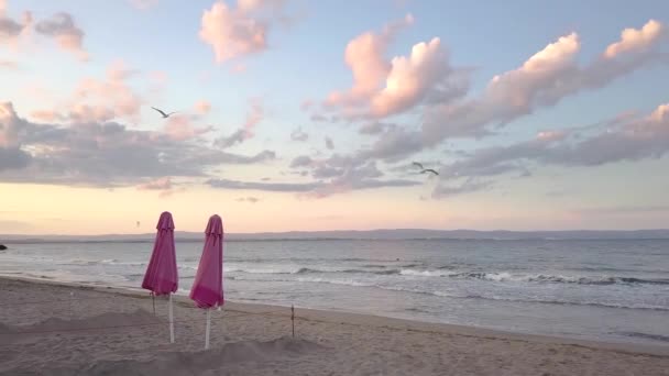 Deux Parasols Rouges Protection Solaire Sur Plage Sable Avec Des — Video