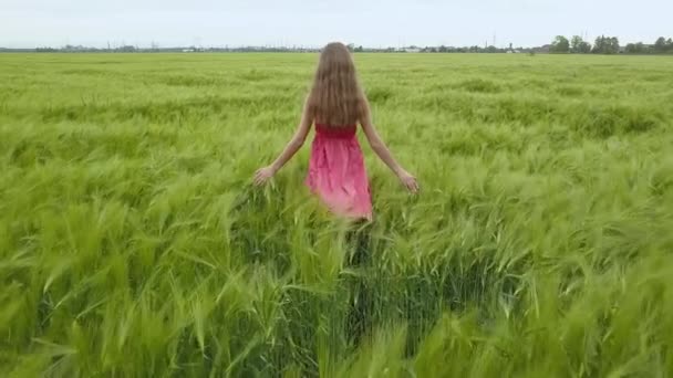 Une femme en robe rouge marchant dans le champ de blé vert .