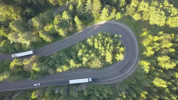 高い山の中で泥の車やトラックと曲がりくねった道の空中ビューは 密な森を通過します — ストック動画