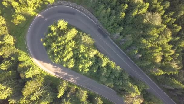 Légi Kilátás Kanyargós Fűnyíró Autók Teherautók Magas Hegymászó Vályú Sűrű — Stock videók