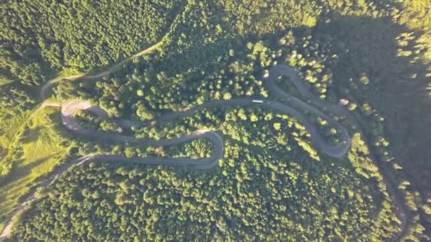 Vista Aérea Carretera Sinuosa Con Coches Siega Camiones Bosques Densos — Vídeos de Stock