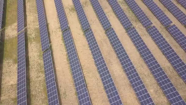 太陽光発電所の空中ビュー クリーンな生態エネルギーを生産するための電気パネル — ストック動画
