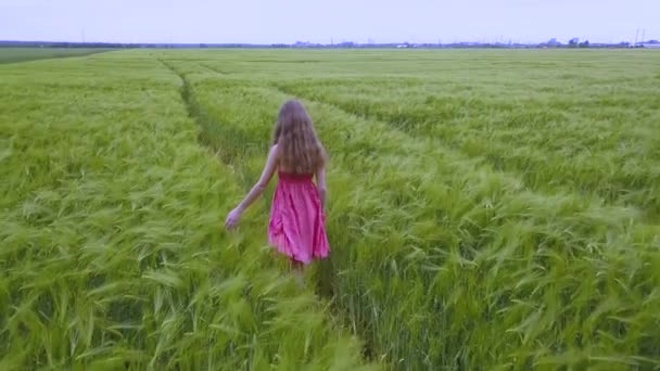 一个穿红衣服的女人在绿麦田里散步 — 图库视频影像