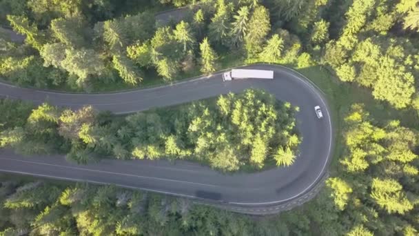 Vista Aérea Carretera Sinuosa Con Coches Siega Camiones Bosques Densos — Vídeo de stock