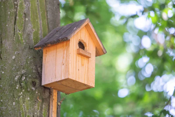 Gelbes hölzernes Vogelhaus auf einem Baumstamm im grünen Park. — Stockfoto