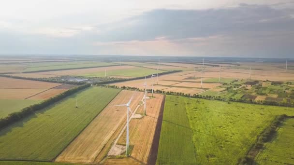 Widok Lotu Ptaka Generatory Turbin Wiatrowych Polu Produkcji Czystej Ekologicznej — Wideo stockowe