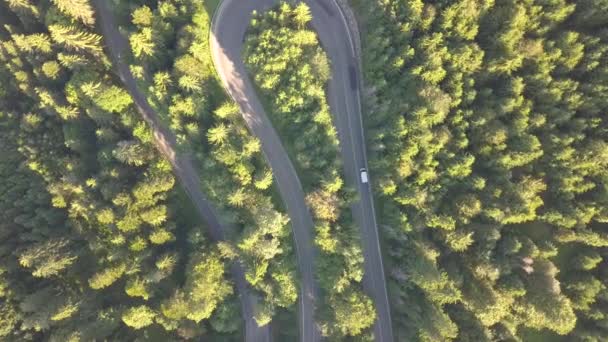 Vista Aérea Carretera Sinuosa Con Coches Siega Camiones Bosques Densos — Vídeos de Stock