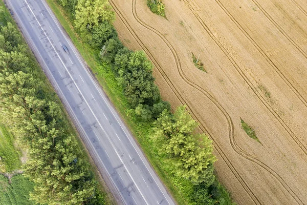 Luchtfoto van een weg tussen gele tarwe velden en groene boom — Stockfoto