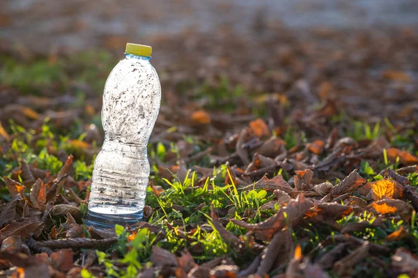 Used plastic bottle thrown away on grass covered ground outdoors