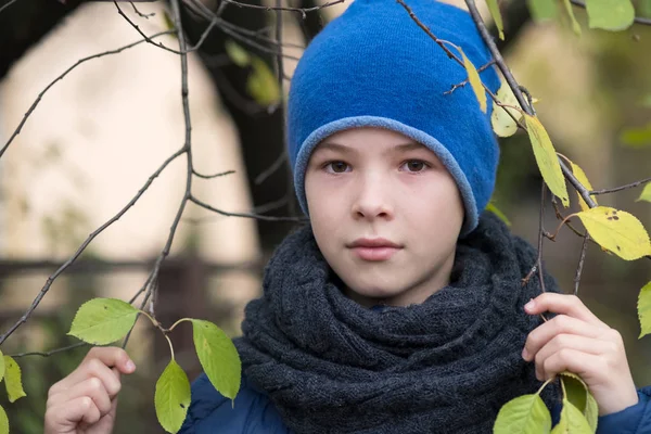 Mooi kind jongen dragen warme winter kleding houden boom tak — Stockfoto