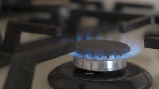 国内キッチン ストーブから青い火のクローズ アップを撮影しました プロパン ガス火炎の燃焼ガス炊飯器 — ストック動画