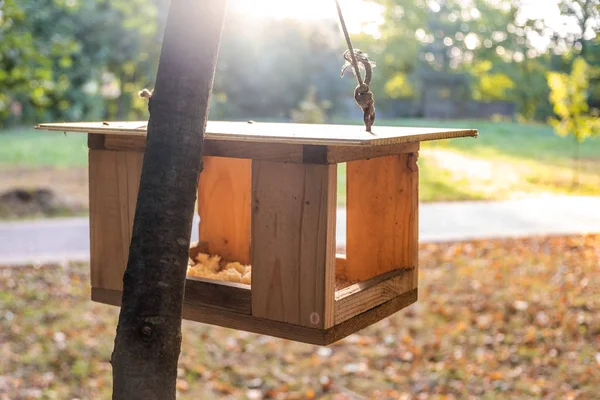 Casa alimentadora de aves de madera en un árbol en el parque de otoño. Animales silvestres —  Fotos de Stock