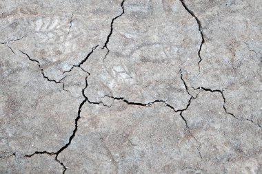 Close up of dry cracked ground surface.