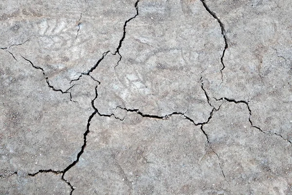 Close up of dry cracked ground surface. — Stock Fotó