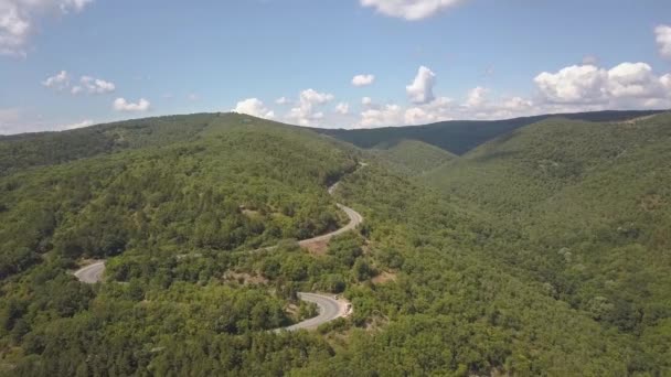 Vista Aérea Carretera Sinuosa Con Coches Siega Camiones Bosques Densos — Vídeo de stock