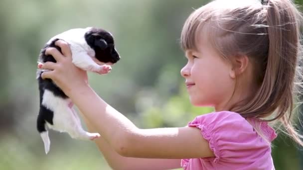 Mooi Kind Meisje Spelen Met Weinig Puppy Buiten Zomer — Stockvideo