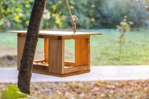 Drewniany karmnik dla ptaków na drzewie w jesiennym parku. Dzikie zwierzęta — Zdjęcie stockowe