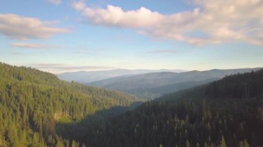 Gökyüzü mavi olan orman ağaçlarıyla kaplı dağların havadan görünüşü.