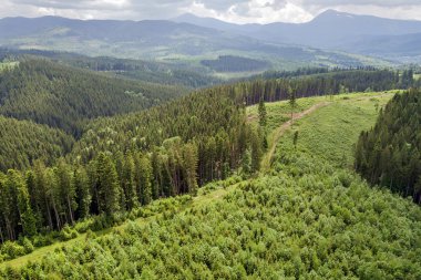 Yeşil Karpat Dağları 'nın havadan görünüşü