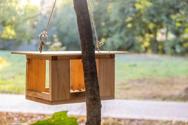Casa alimentadora de aves de madera en un árbol en el parque de otoño. Animales silvestres —  Fotos de Stock