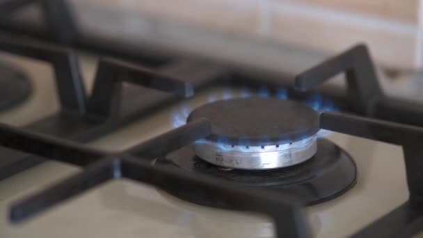 Primer Plano Fuego Azul Estufa Cocina Doméstica Cocina Gas Con — Vídeos de Stock