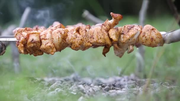 Shashlik Marinado Kebab Shish Que Prepara Uma Grelha Churrasco Sobre — Vídeo de Stock