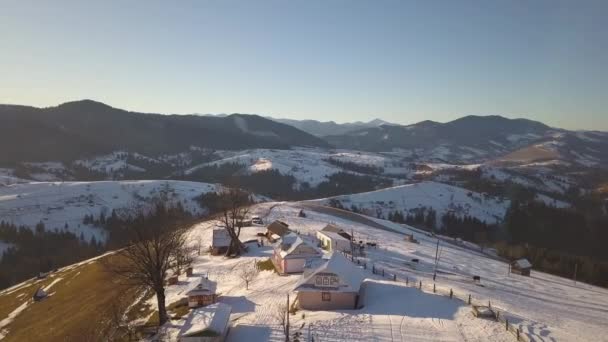 雪の上に散在する家と小さな村の空中ビューは ウクライナの冬と裸の暗いカルパチア山脈の丘をカバー — ストック動画